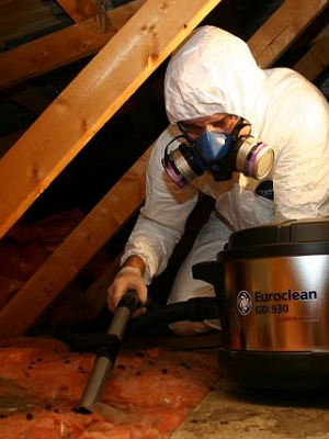 Čiščenje podstrešij Ptuj