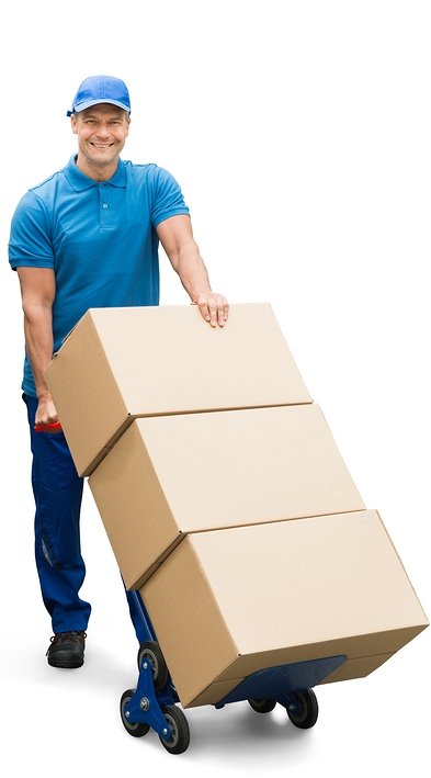 Selitveni servis ptuj