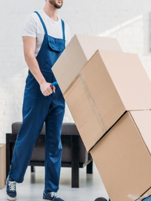 Selitveni servis Ptuj - Ormož