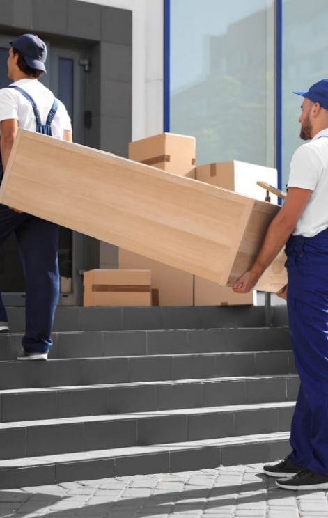 selitveni servis ptuj